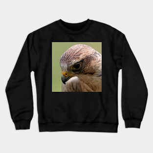 Saker Falcon Crewneck Sweatshirt